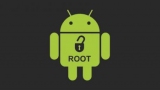   root   